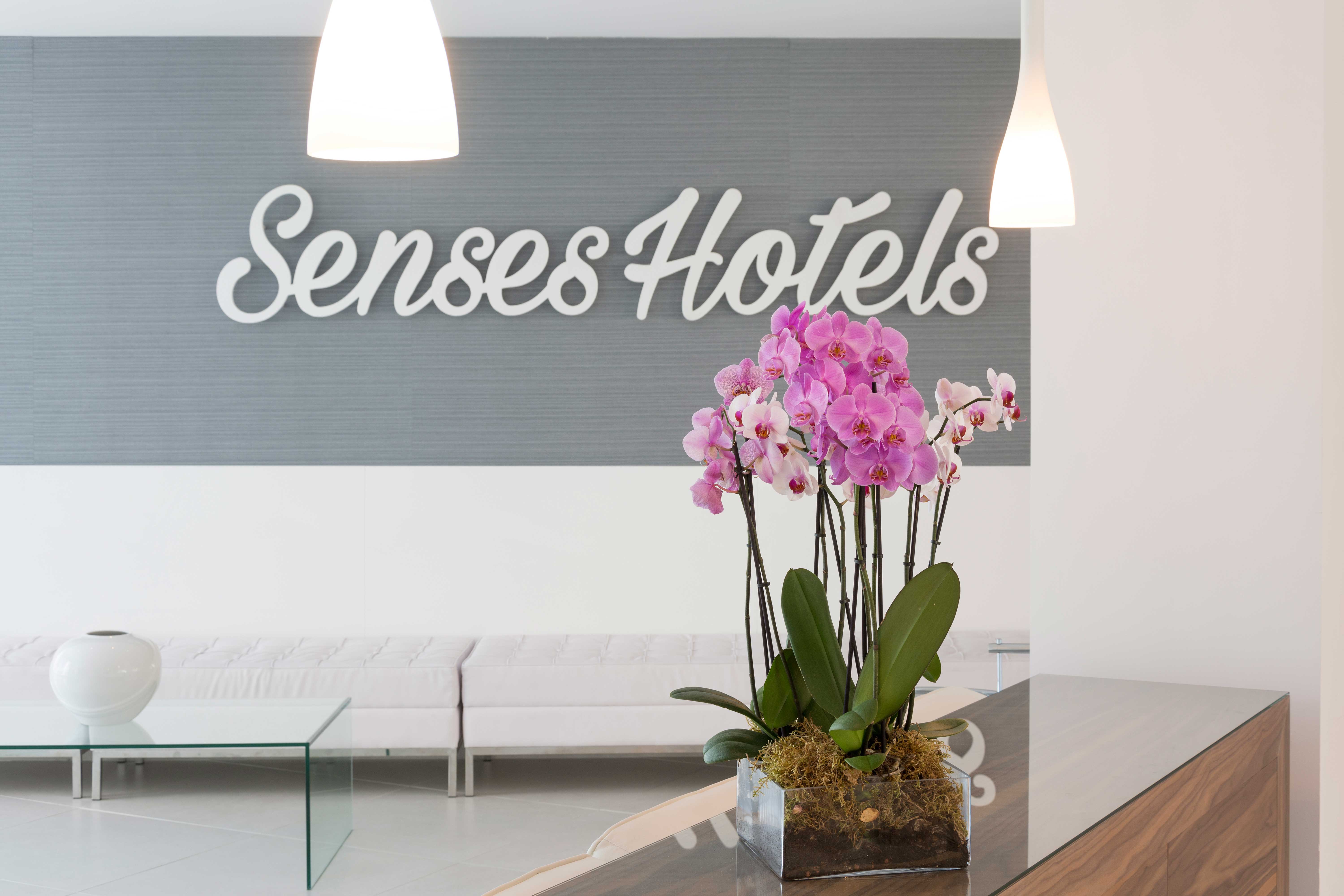 WEB_Senses-planta-noble_11